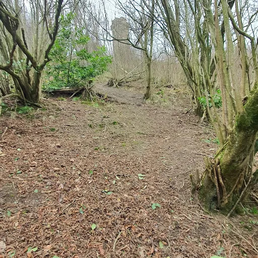 Flounders' Folly Gallery - United Kingdom