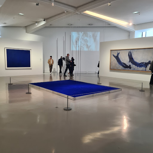 Modern and Contemporary Art Museum (MAMAC) - Thumbnail