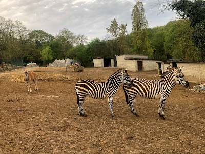 Polonezköy Zoo - Doğal Yaşam Parkı