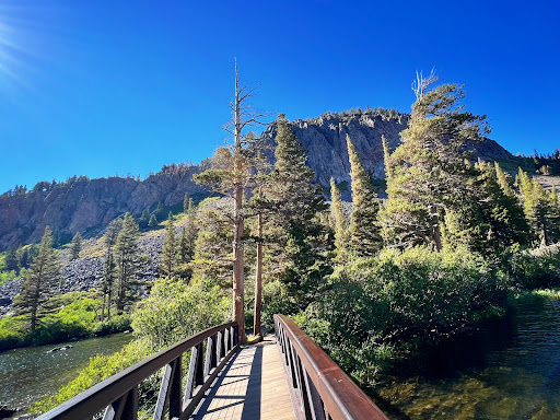 Twin Lakes Forest Chapel - Thumbnail