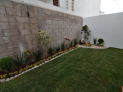 Nobel Residencial - Mexico