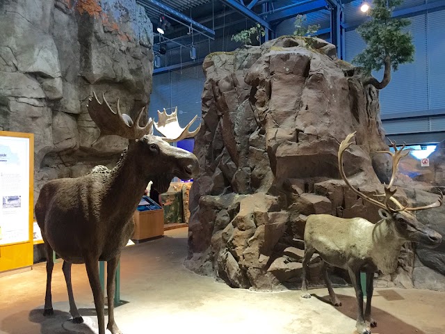 Great Lakes Aquarium