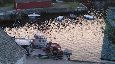 Photos of Frivannsliv