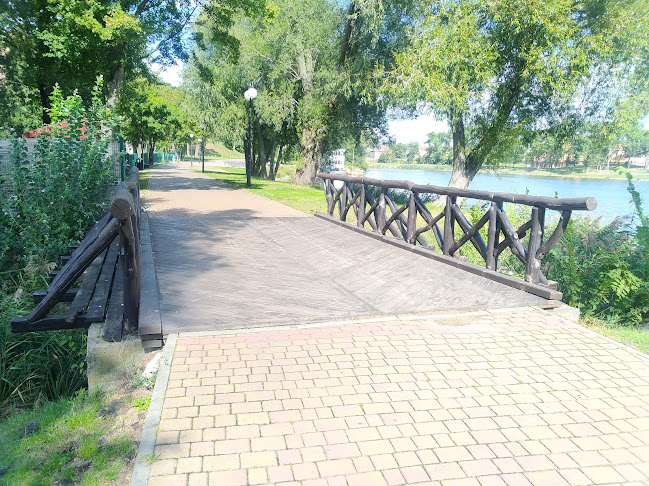 Klub Wioślarski "Gopło" Kruszwica - Dyskoteka