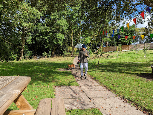 Crosstown Community Orchard Gallery - United Kingdom
