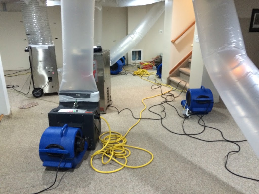 Collier Flood Damage Recovery Experts photo