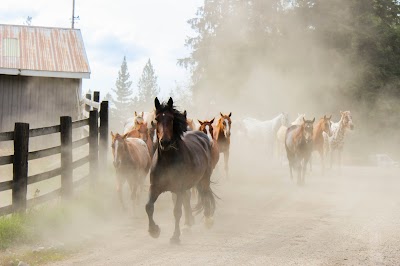 Western Pleasure Guest Ranch