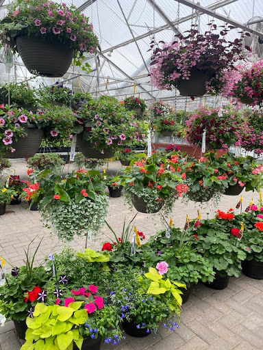 Abrahamson Nurseries - Visual