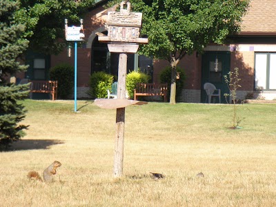 Photos of Madonna University