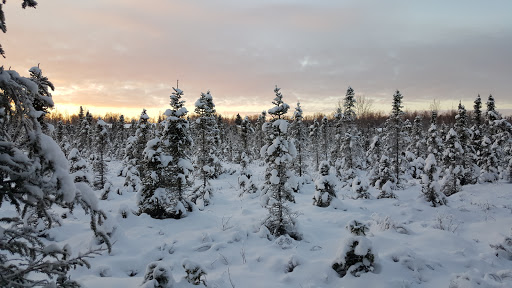 Baxter Bog Park - Thumbnail
