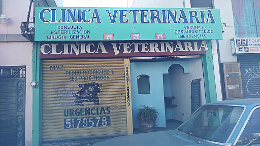 Clínica De Especialidades Veterinarias MVZ Pedro Rodríguez Tarré - Thumbnail