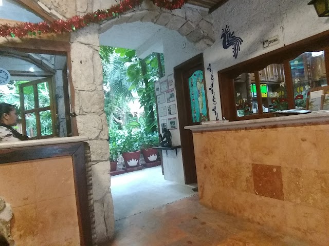 Eco- Hotel El Rey del Caribe