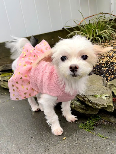 Squan Animal Hospital - Thumbnail