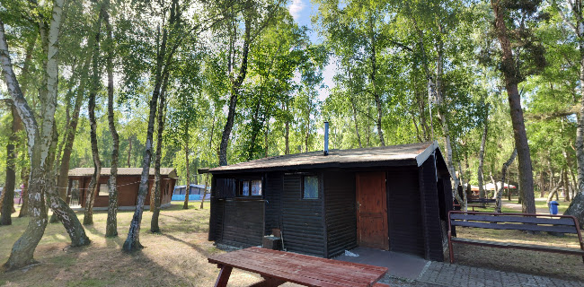 Opinie o Biała Mewa nr 88 w Koszalin - Pole kempingowe