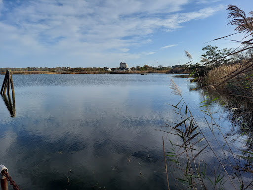 Kirk Park