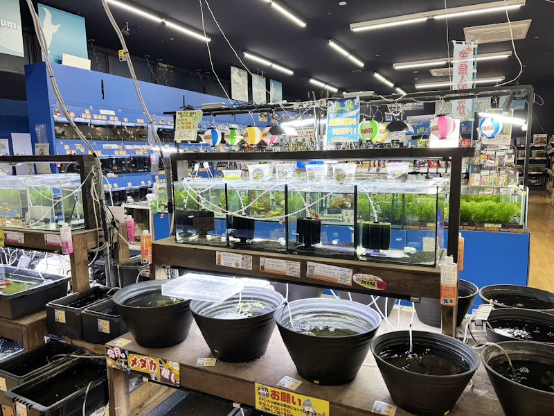 ペットワールド アミーゴ 多治米店