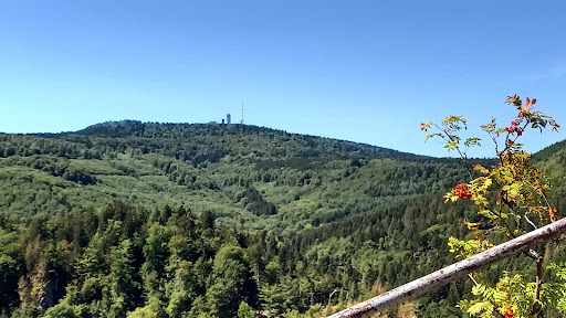 Aschenbergstein - Visual