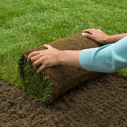 Photo n°8 de Les Gazons de Courville à Courville-sur-Eure (Jardinerie)