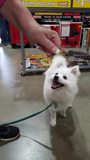 Gold Country Ace Hardware - Thumbnail