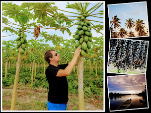 Photo n°6 de Le Comptoir de Toamasina - Gousses de Vanille d'Exceptions à Prémesques (Magasin d'épices)