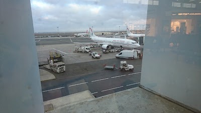 Photos of Airport Med V