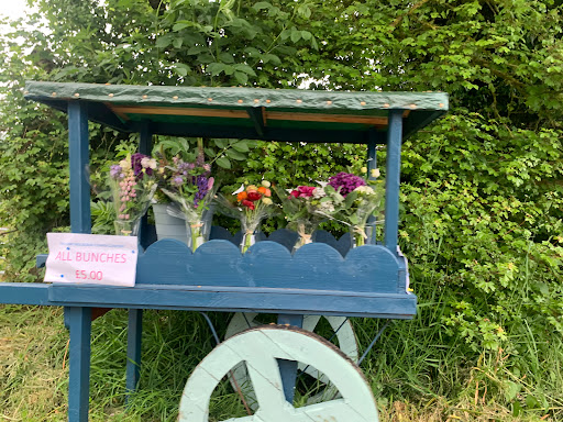 The Long Mountain Flower Company