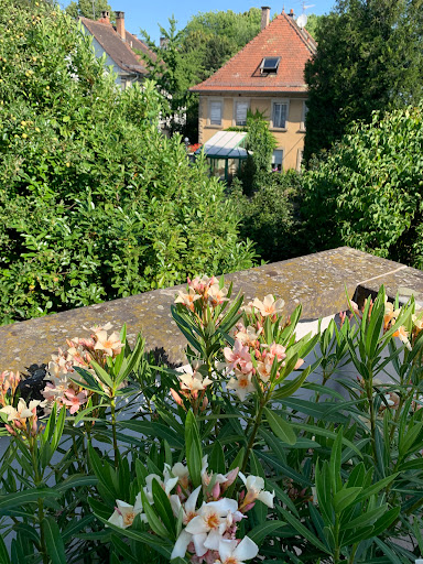 Photo 3 - Snack du Lobau