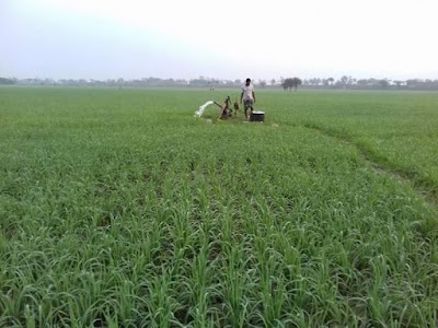 Photos of Damarpota Govt Primary School