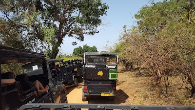 Photos of Yala National Park Katagamuwa Area