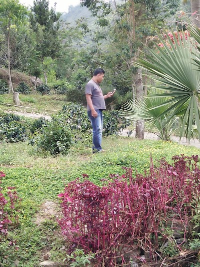 Photos of Kebun Percobaan Andungsari PUSLITKOKA