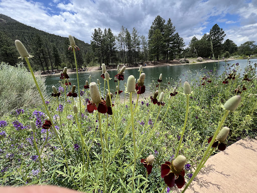 Eagle Rock Lake - Thumbnail