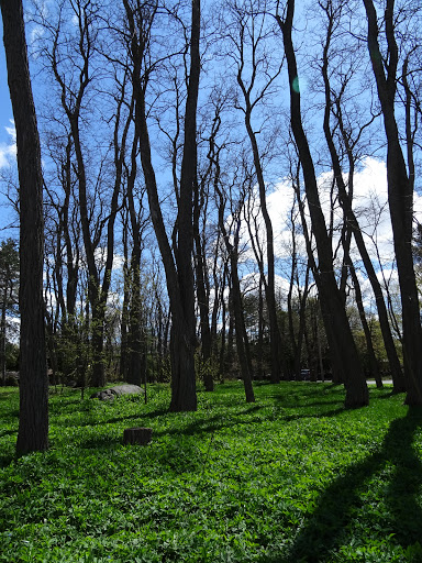 Rockcliffe Park Public School