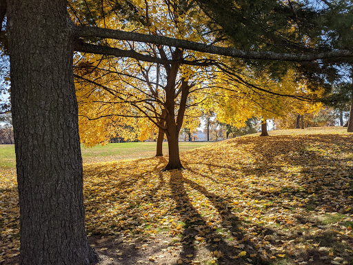 Endicott Park - Visual