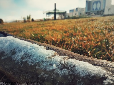 Photos of University of Constantine 2