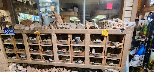 Aquarium City - Thumbnail