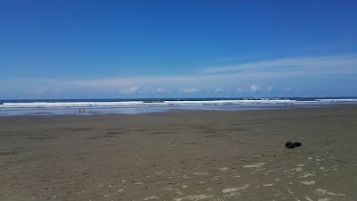 Photos of Cola De Ballena