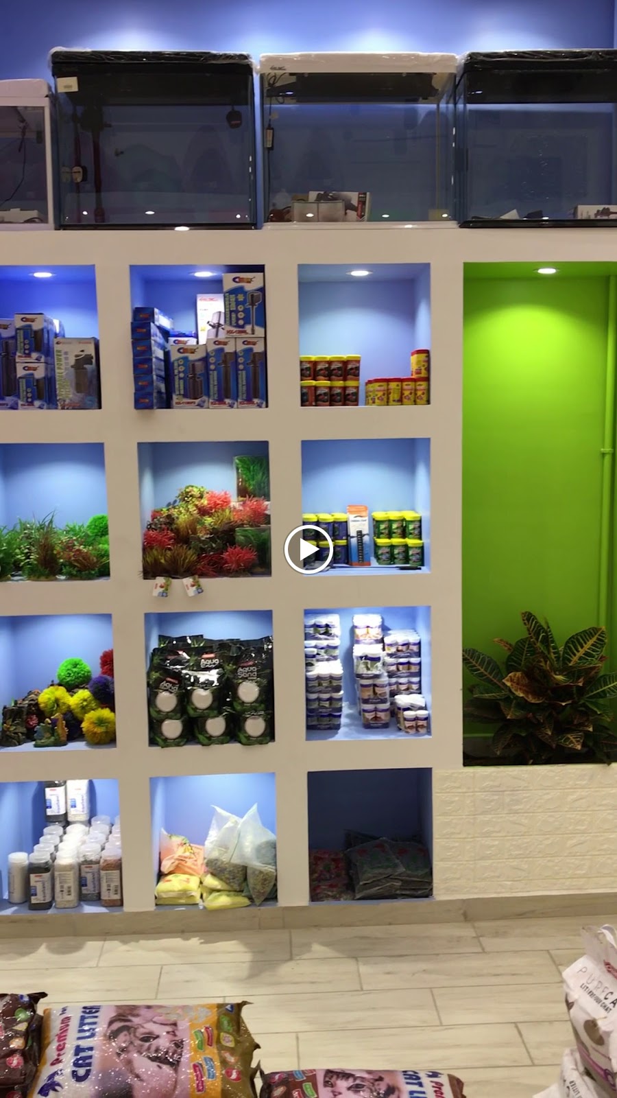 متجر الحيوان الجميل - صورة 2