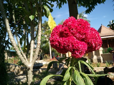 Photos of Taman Petanu Eco Neighborhood