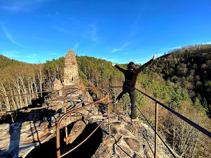 Photo n°17 de Wanderreitstation Chez Cindy à Merkwiller-Pechelbronn (Centre de randonnée équestre)