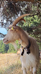 Photo n°3 de Chambre d'hôtes à la ferme à Mazan-l'Abbaye (Chambre d'hôtes)