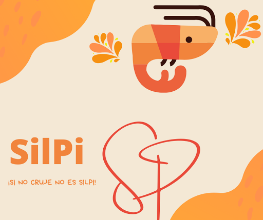 SilPi - Visual