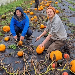 Canalside Community Food