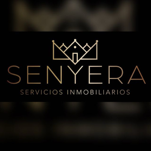 Inmobiliaria Senyera Paiporta - Thumbnail