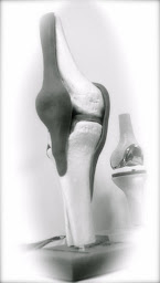 Photo n°18 de Institut de Chirurgie Osseuse Medipole Montagard à Avignon (Médecin du sport)