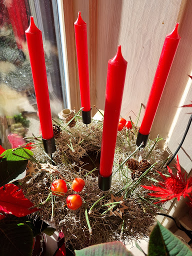 Die BlumenBar - Thumbnail