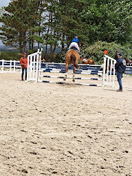 Photo n°9 de Laisne Richard à Hesdin-l'Abbé (Haras)