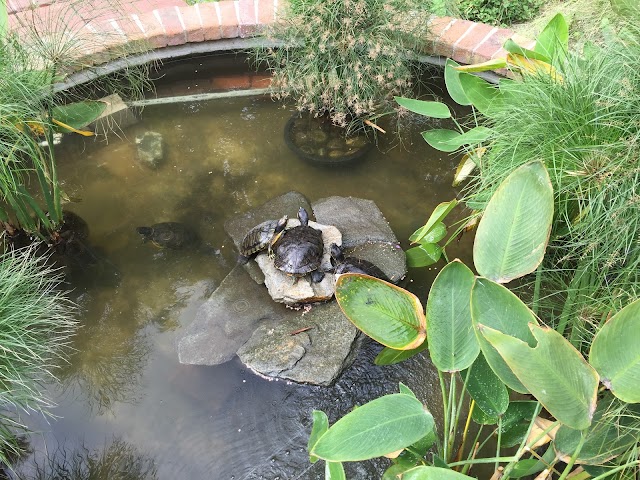 Sherman Library & Gardens