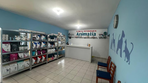 ANIMALIA CLINICA VETERINARIA