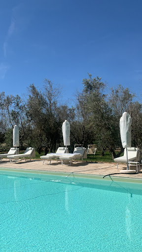 Tenuta Sidore - Visual