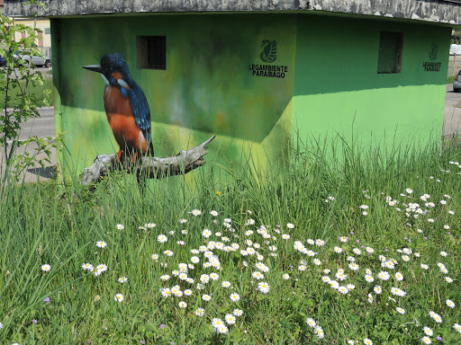 Corridoio ecologico del Canale Villoresi - Thumbnail